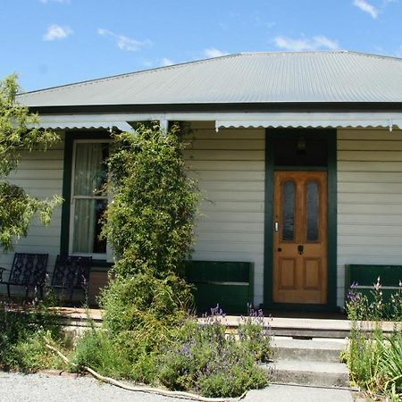 Pinedale Lodge & Apartment Methven Bagian luar foto