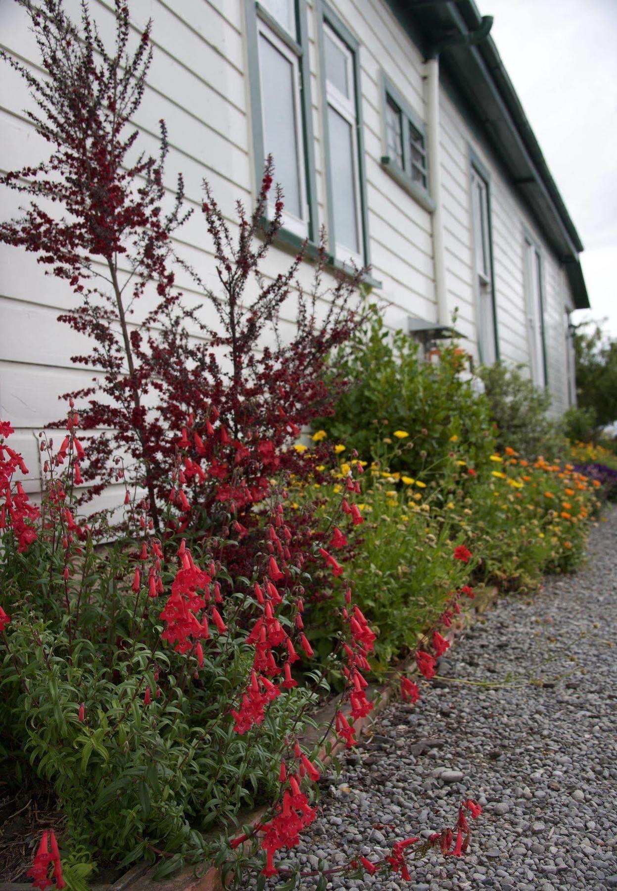 Pinedale Lodge & Apartment Methven Bagian luar foto