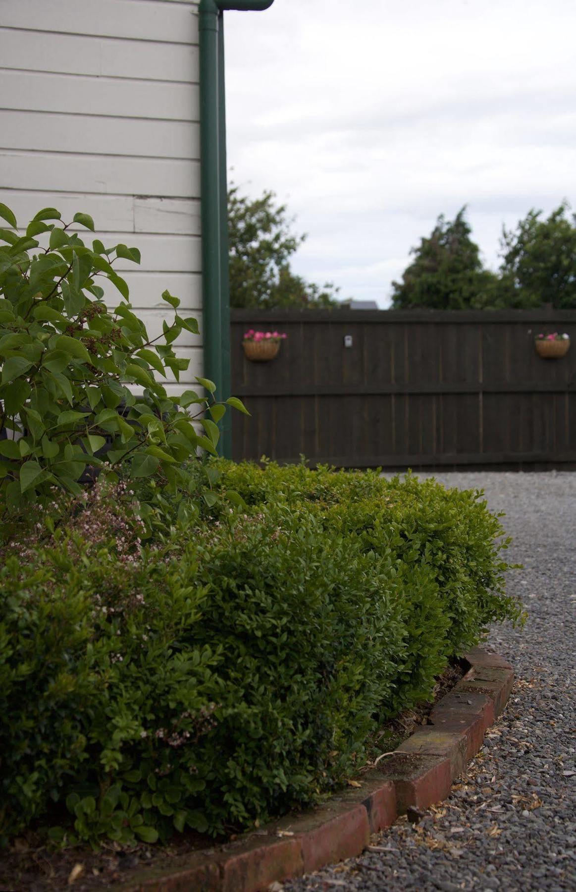 Pinedale Lodge & Apartment Methven Bagian luar foto